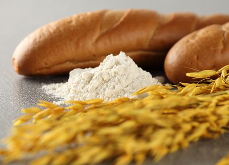 �����ڳ������ʲô��̎�������ڳ���۵�����