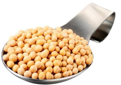 哺乳期能吃黃豆?哺乳期吃黃豆的做法