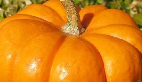 選擇食譜進(jìn)行調(diào)養(yǎng)是很好的選擇 推薦6種產(chǎn)婦補(bǔ)氣血的食物