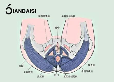 產后漏尿嚴重怎么治療?介紹2個經驗