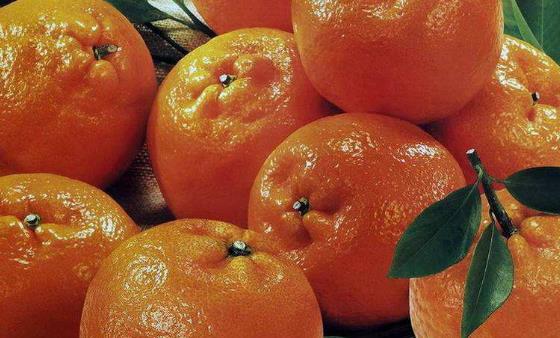 產后脫發(fā)的現(xiàn)象其實是正常的 5個日常護理頭發(fā)方法收好