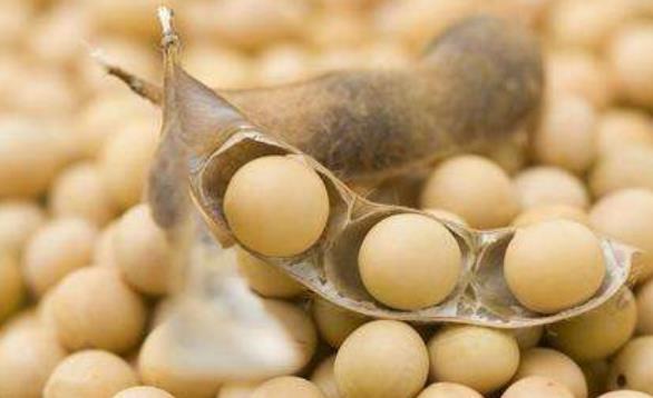 產(chǎn)后塑造完美身材 三種情況不能瘦身