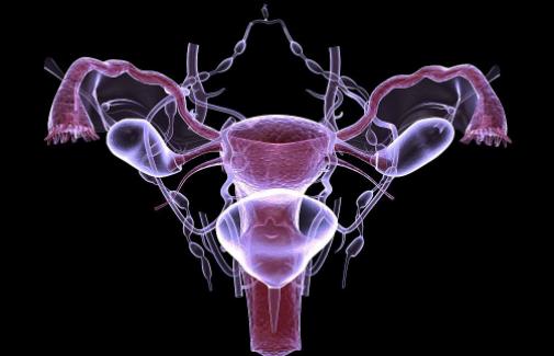 子宮前位容易懷孕嗎 子宮前位和子宮后位的區(qū)別