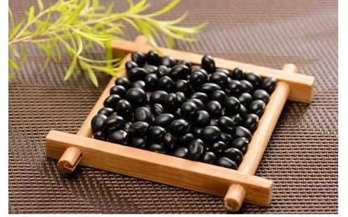 女性吃什么藥和食物能促使排卵呢 女性讓自己快速懷孕的妙招