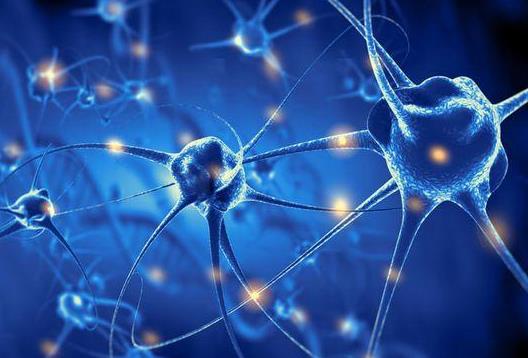 精神分裂癥應(yīng)該怎么治療?如何預(yù)防精神分裂癥?