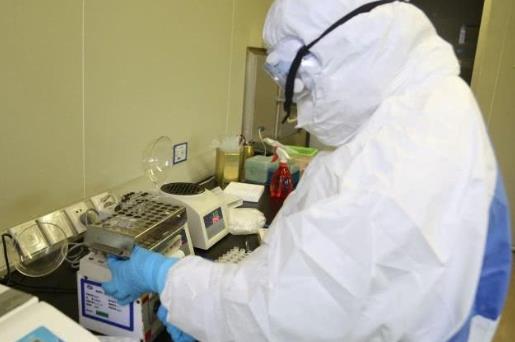 如何網(wǎng)上查詢小孩核酸檢測(cè)的結(jié)果?小孩沒(méi)有身份證怎么查核酸結(jié)果