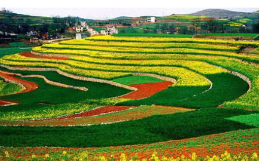 2021年耕地地力保護補貼來啦!耕地地力保護補貼的范圍是什么?