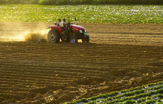 2021年耕地地力保護補貼來啦!耕地地力保護補貼的范圍是什么?