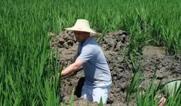 怎么申請耕地地力保護補貼?耕地地力保護補貼的政策是什么?