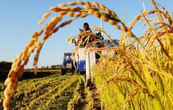 怎么申請耕地地力保護補貼?耕地地力保護補貼的政策是什么?