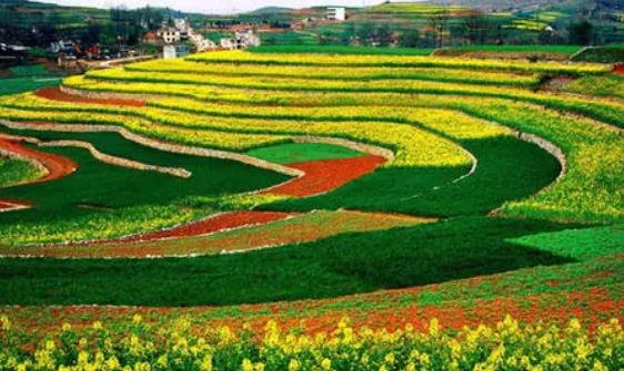 怎么申請耕地地力保護補貼?耕地地力保護補貼的政策是什么?