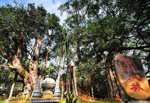 云南瑞麗高速解封了嗎?2021瑞麗5月1日會解封嗎?