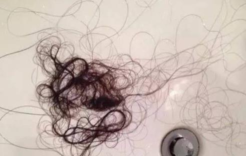 經常掉頭發是什么原因造成的 怎么樣正確護理秀發