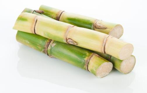甘蔗根熬水能治咳嗽嗎?甘蔗冰糖雪梨能止咳嗎