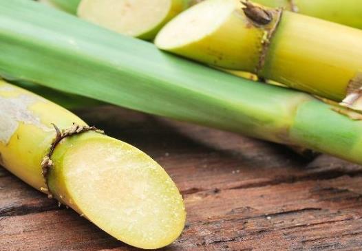 甘蔗冰糖雪梨水能治療什么咳嗽?甘蔗根熬水能治療什么咳嗽?