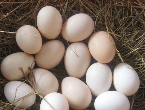 陽痿判斷根據這三點 別陷入誤區(qū)