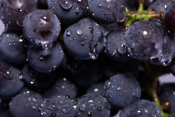 ���ѿ�����