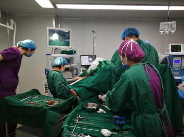 【藍天醫案】石家莊藍天中醫院婦科成功開展瘢痕妊娠吸除術