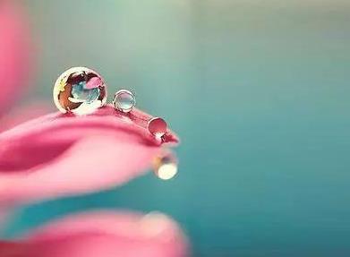 支原體外陰炎的危害是什么?支原體外陰炎的癥狀