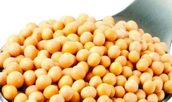 經期是女性豐胸的最佳時期 推薦6種經期豐胸食物