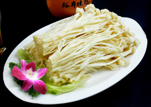 金針菇的做法大全-金針菇怎么做?