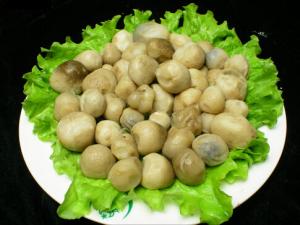 草菇怎么做營養好吃?草菇的做法