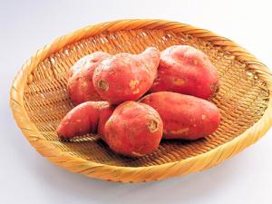 紅薯發(fā)芽了還能吃嗎?紅薯的營(yíng)養(yǎng)價(jià)值