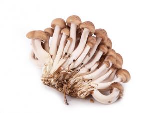 蟹味菇的營養價值-蟹味菇的做法大全