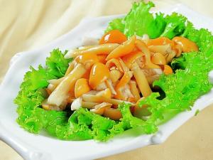 ?滑子菇豆腐羹的做法-滑子菇的營養價值