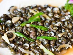 芝麻螺怎么做?芝麻螺的做法-芝麻螺的簡介