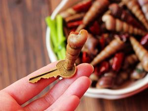 錐螺怎么做好吃?錐螺怎么吃?錐螺的做法