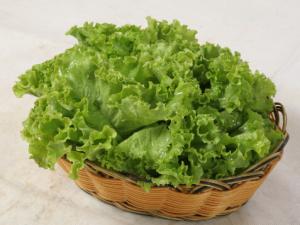 生菜可催眠鎮(zhèn)痛 生菜蘋(píng)果汁的做法