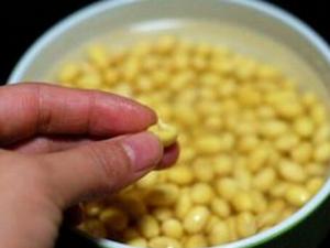 發芽豆還可以用嗎?發芽豆打豆漿更鮮美