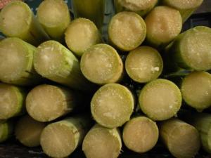 甘蔗怎么做好吃?甘蔗的做法大全