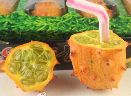 ��������ô�ԣ��������Ľ�������