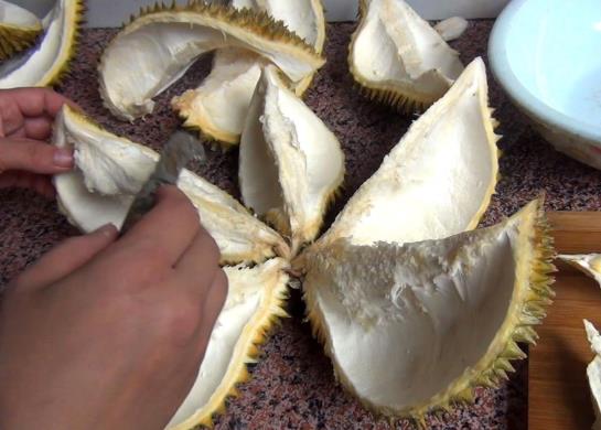 榴蓮殼煲湯有什么好處?榴蓮殼煲湯的做法