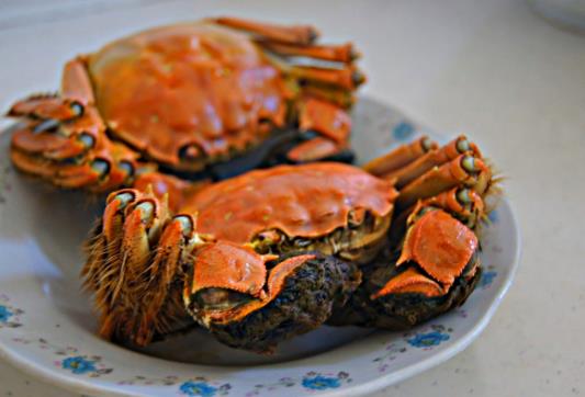?微波爐蒸大閘蟹要用什么火?大閘蟹用微波爐打幾分鐘能熟?