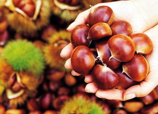 板栗烤好了可以直接出鍋嗎?烤板栗一定要切口嗎?