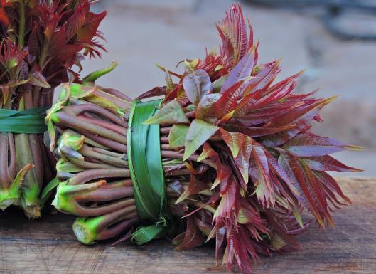 香椿曬干要不要先過水?香椿過水后為什么沒味了