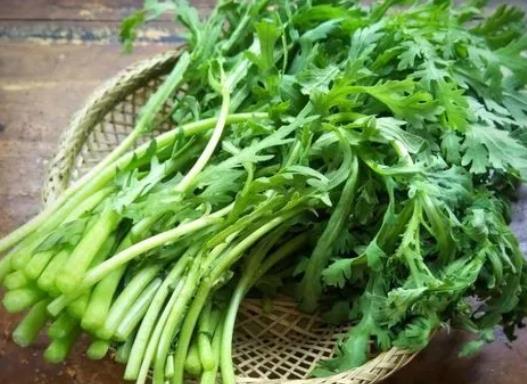 茼蒿適合什么人吃?炒茼蒿不焯水可以嗎