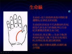 教你如何看手相?看手相算命圖解大全