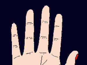 手相圖解之掌紋篇:其他紋線圖解