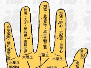 看手相算命圖解:掌丘的占卜