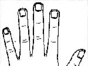 手形算命圖解:手形決定你一生的性格與命運