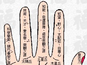 如何看手相?手相算命圖解-看手相算命圖解