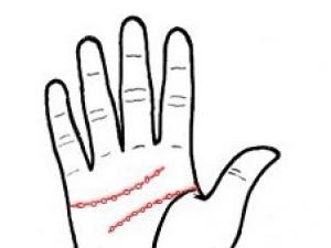 手相算命圖解:“性感入骨”的女人手相