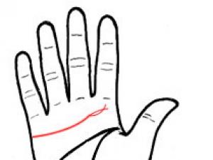 手相算命圖解:愛情美滿的手相