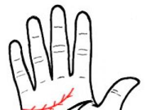 女人手相算命圖解:“萬人迷”的手相