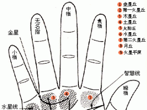 手相婚姻線圖解:從手相婚姻線看姻緣