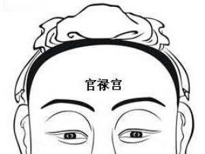 面相算命圖解:面相十二宮圖之官祿宮